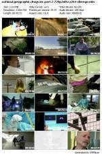 Guarda online Drugs, Inc. gratuitamente.