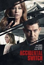 Accidental Switch poster