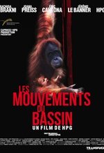 Les mouvements du bassin poster